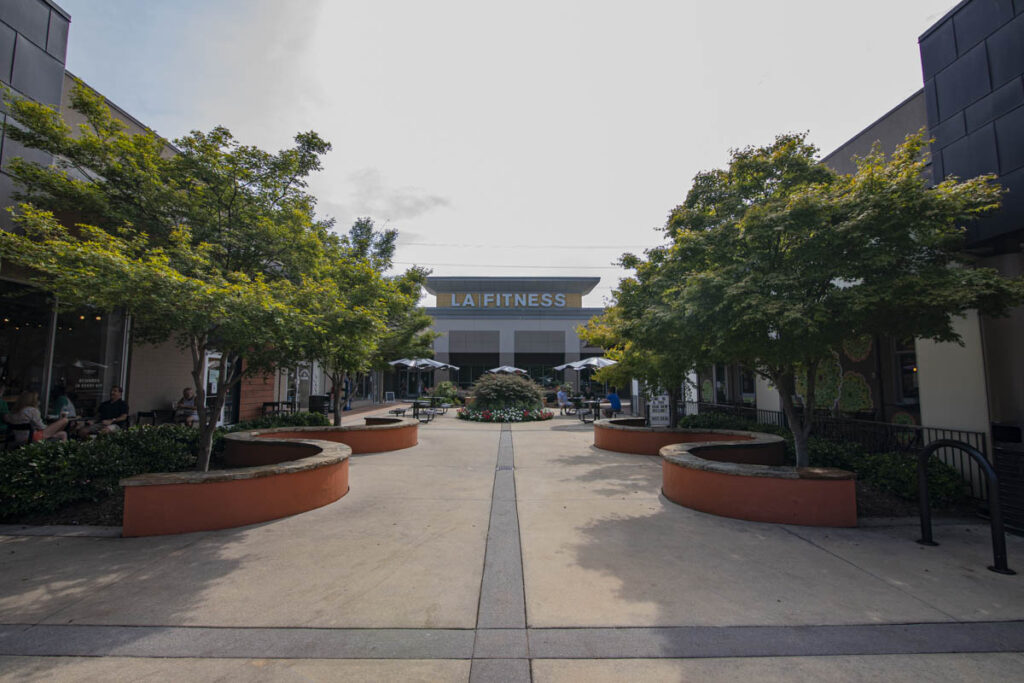 Ansley Park Homestead Realtors