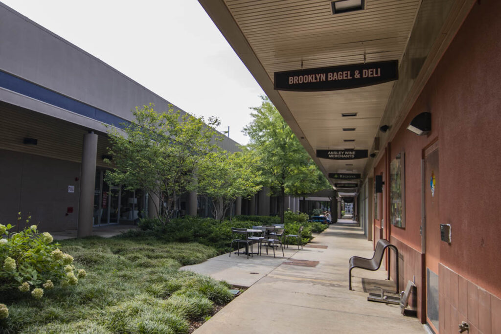 Ansley Park Homestead Realtors